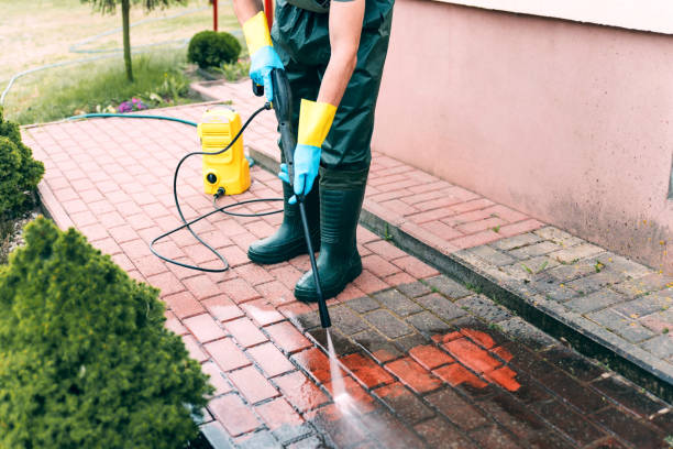 Best Driveway Pressure Washing  in La Vale, MD