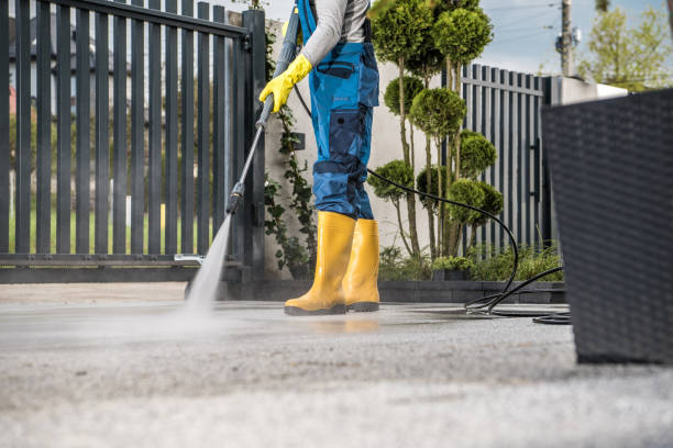Best Sidewalk and Walkway Cleaning  in La Vale, MD